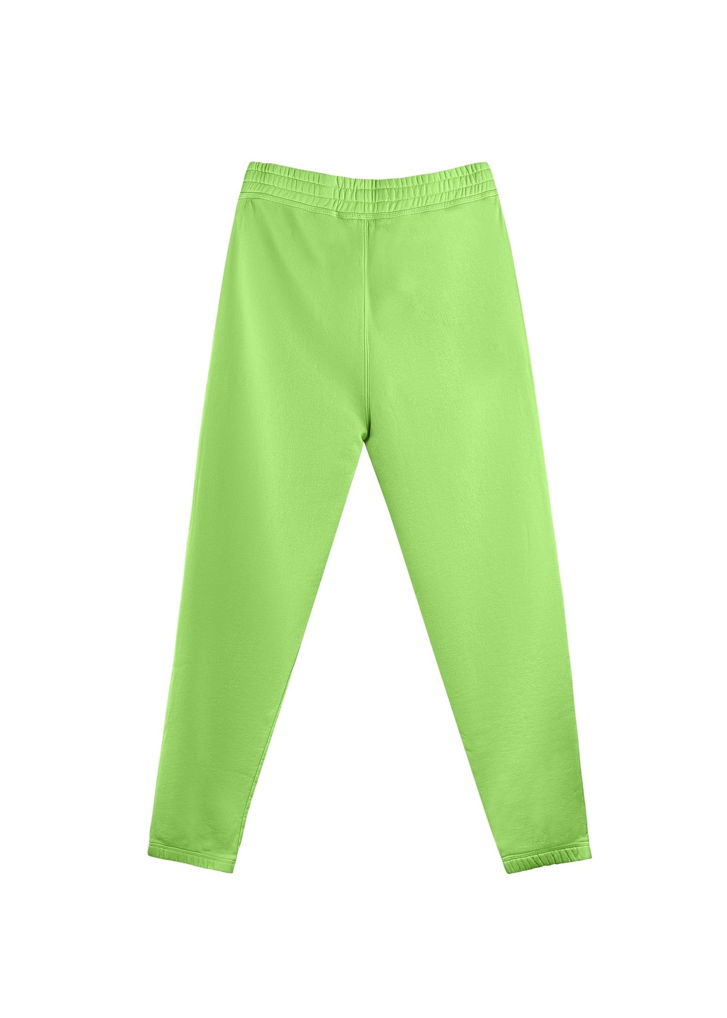 Stüssy Hose “Stüssy Designs” -lightgreen