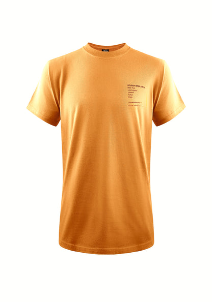Stüssy T-Shirt „Modern Leaders“ - Peach